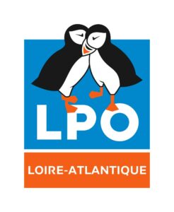 logo_2022
